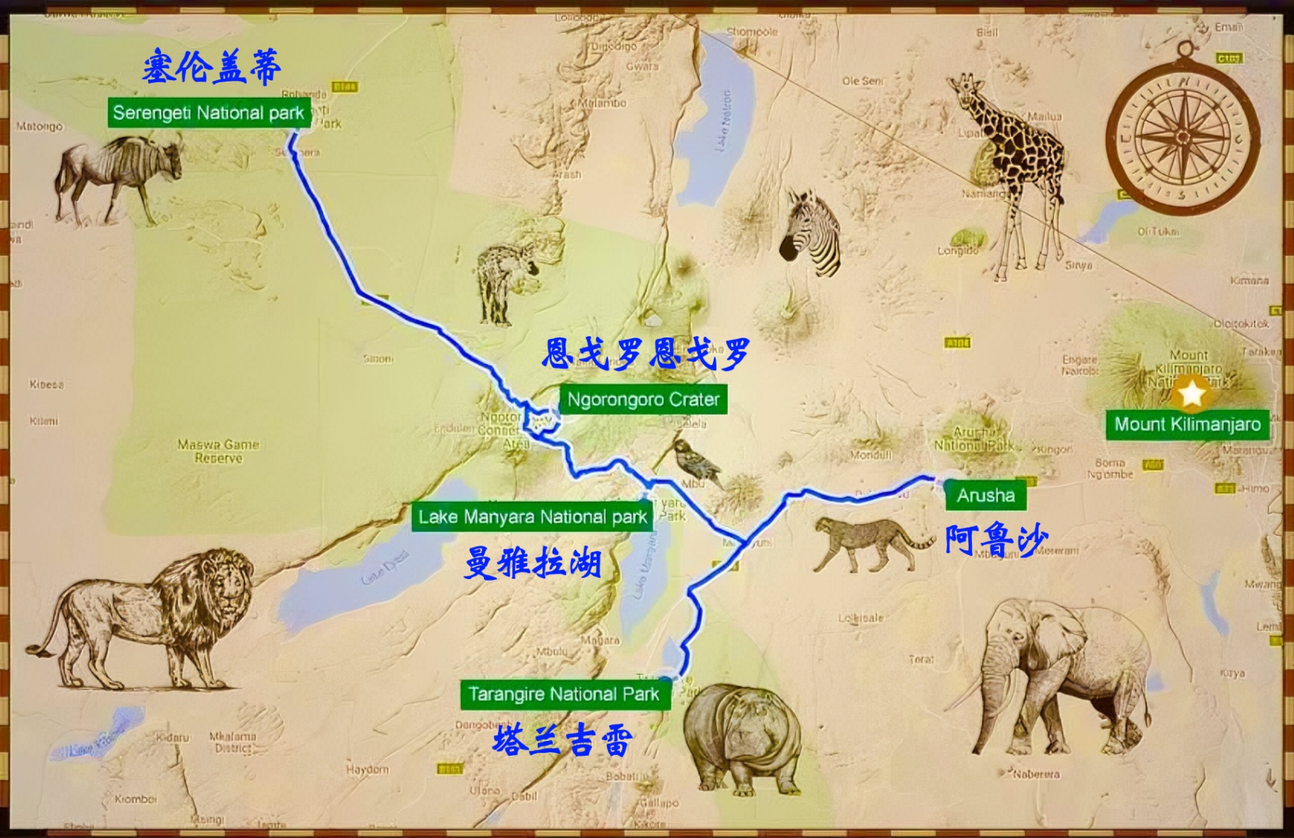 非洲五霸 safari 路线图 · 塔兰吉雷 · 马尼亚拉 · 恩戈罗恩戈罗 · 塞伦盖蒂
